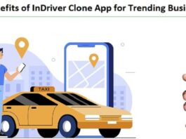 7 Benefits of InDriver Clone App for Trending Business