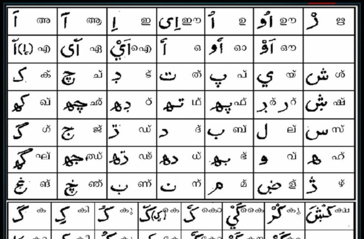 4 Reasons To Learn the Arabic Language