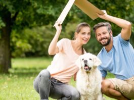 The Benefits of Renting a Pet-friendly Property